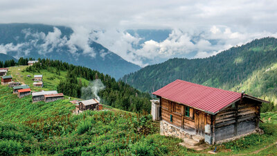 Hayat kalbimize saplanmış bir bıçak