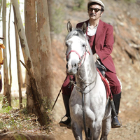 Organik film platosu