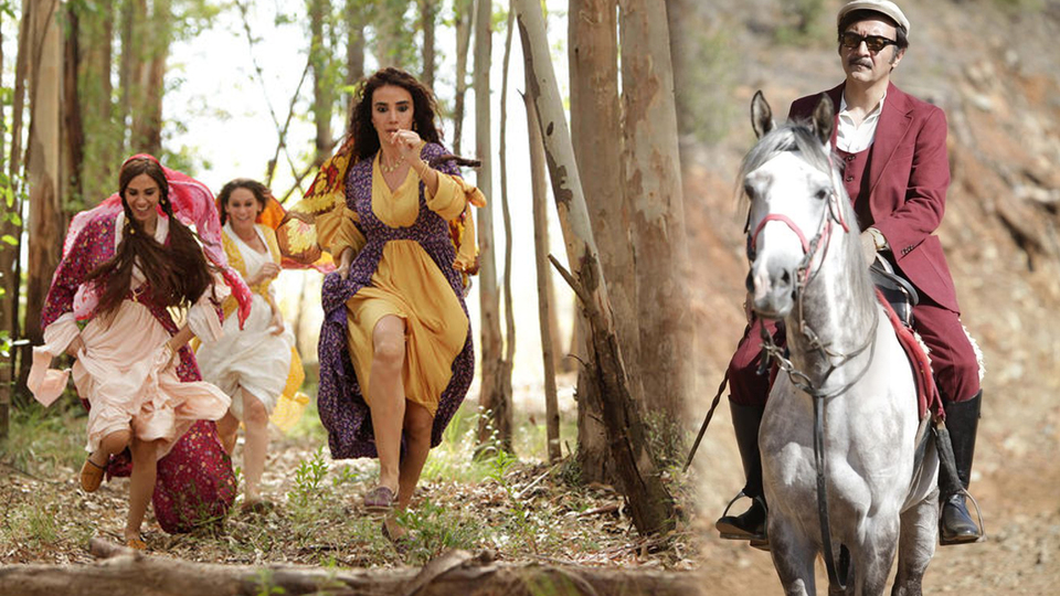 Organik film platosu