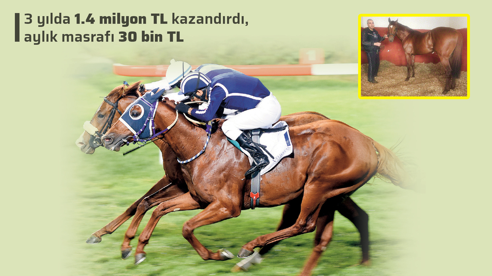 Zarrab'ın atı Dayım Benim devlete kaldı