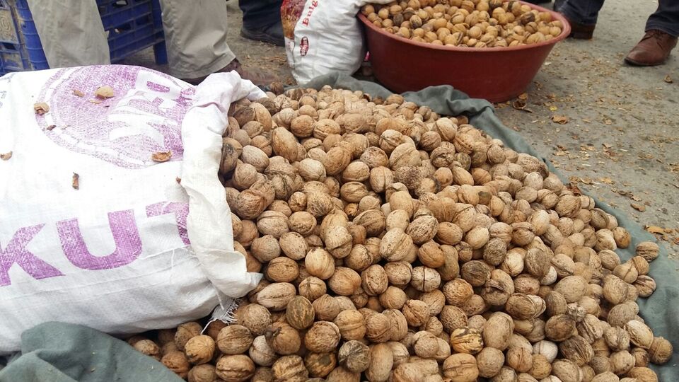 173 milyon dolarlık ceviz ithal ettik