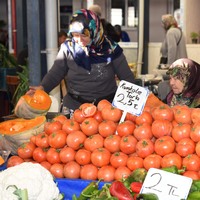 Zam şampiyonu domates