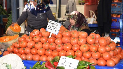 Zam şampiyonu domates