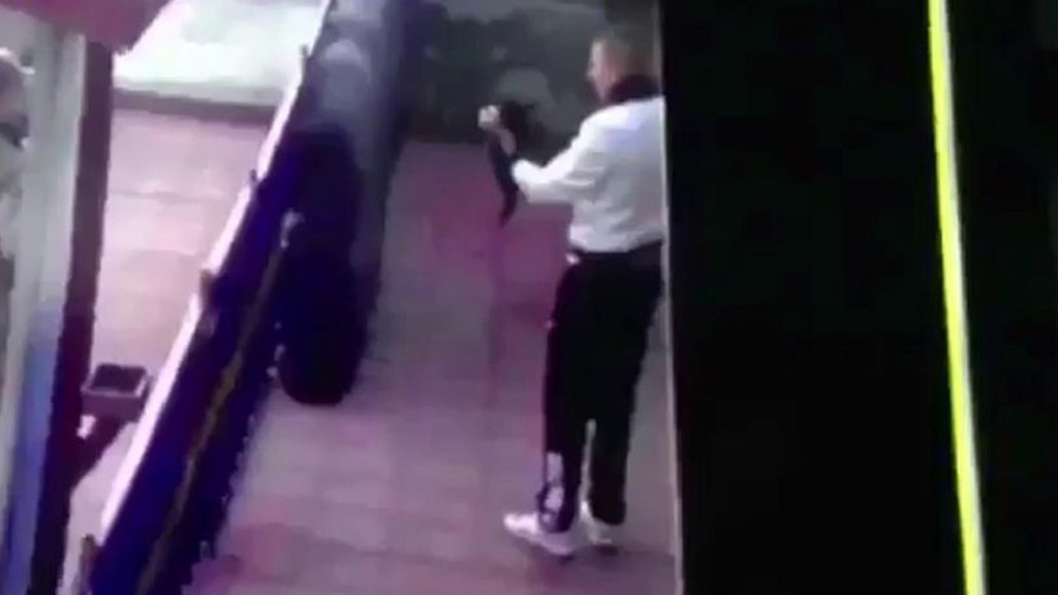 Genelkurmay'dan kediye işkence eden askerle ilgili açıklama