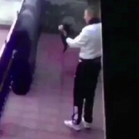 Erzincan’da kediye işkence görüntülerinin ardından o açıklama yapıldı!