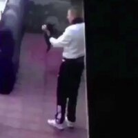 Kediye işkence AYM'ye gidiyor: "Sahipsiz hayvanlara ilişkin mevzuatımızın yetersiz"