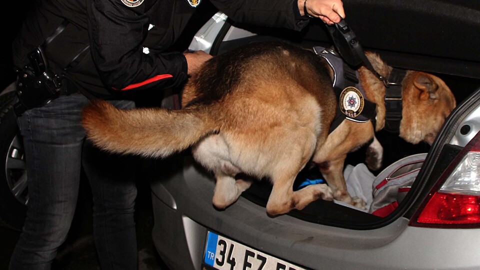 İstanbul'da 5 bin polisle asayiş uygulaması