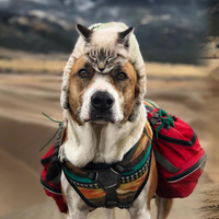 Böylesine az rastlanır! Birbirlerinden ayrılamıyorlar