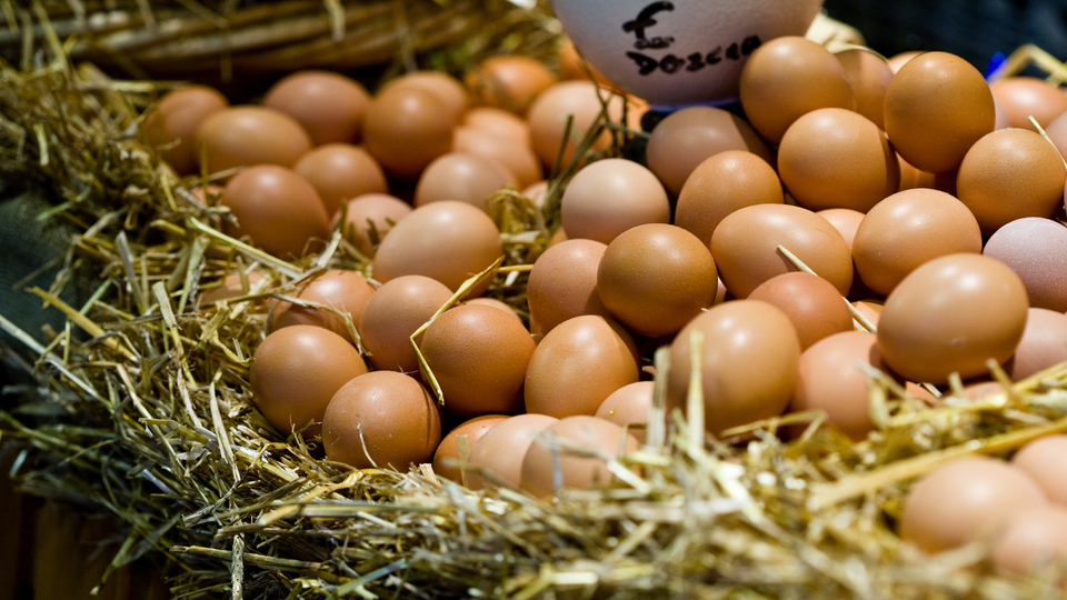 Yumurta fiyatlarında rekor!