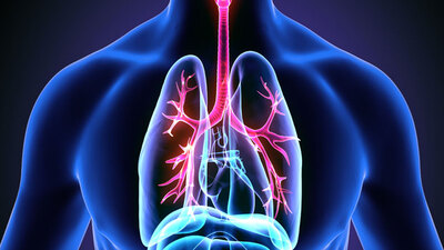 Akciğer kanseri belirtileri nelerdir?