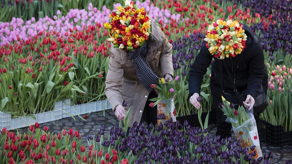 Dikkat! 'Bu çılgınlık 400 yıl önce de vardı'