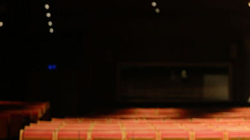 Tiyatro ve sinemaya para ayırmadık