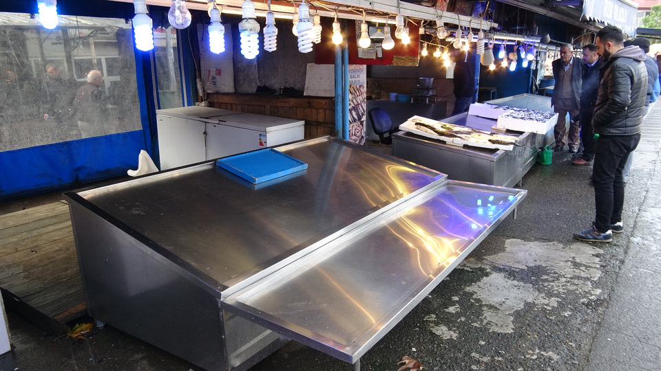 Hamsiler Rusya ve Gürcistan'a kaçtı