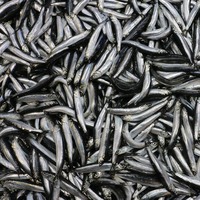 Hamsinin fiyatı 4 kat arttı