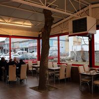 Ağacı kesmeye kıyamayınca ortaya bu görüntü çıktı!