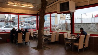 Ağacı kesmeye kıyamayınca ortaya bu görüntü çıktı!