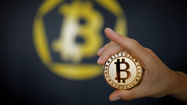 Bitcoin balon değil, 'modern lale'