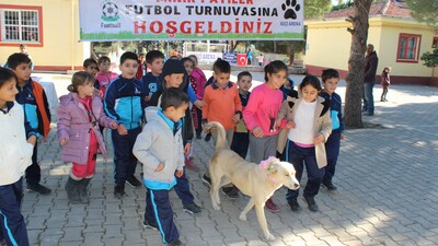 Hayvan dostu okuldan ilginç turnuva