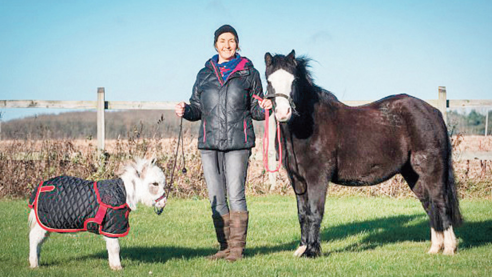 Dünyanın en küçük eşeği