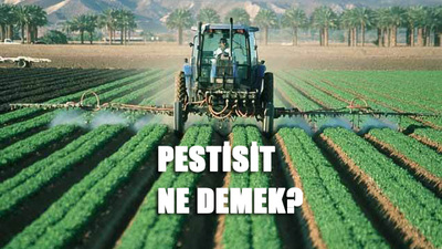 Pestisit ne demek?