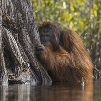 Yılın en iyi fotoğrafları belli oldu!