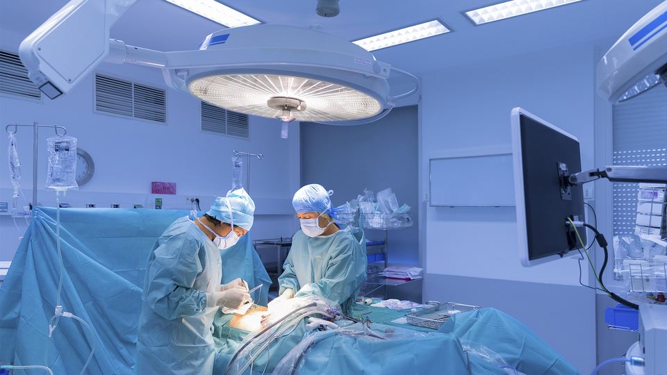 İtalya'dan "Biotestamento" yasası geçti