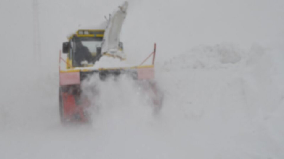 PKK'lı terörist Karadeniz'de böyle teslim oldu!