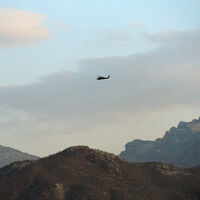 Yeşil listedeki terörist öldürüldü! Başına 1 milyon lira ödül konmuştu