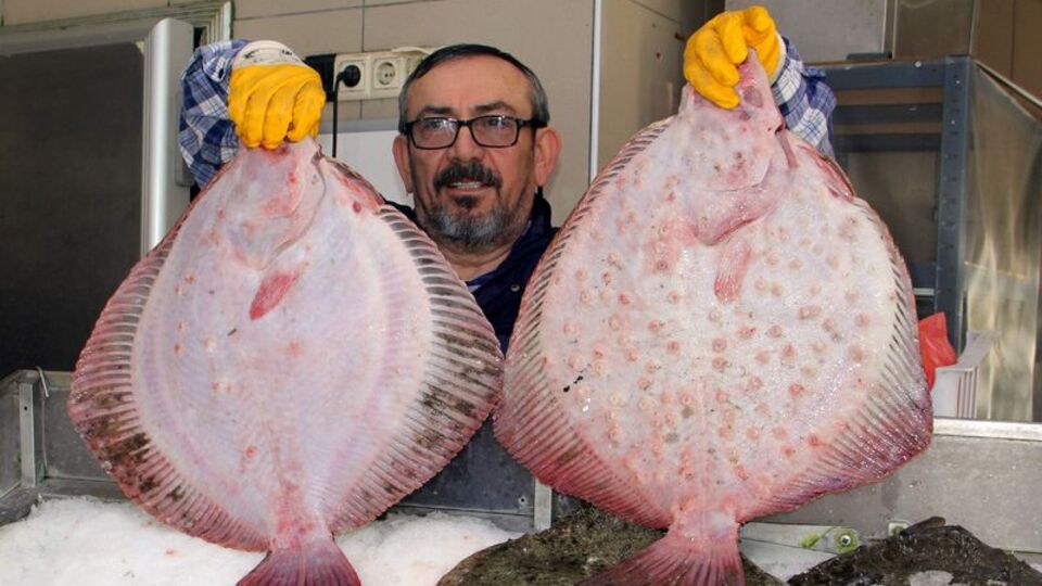 Fiyatı dudak uçuklatıyor!