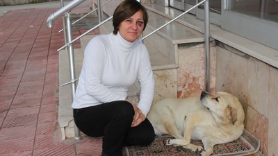 Sokak hayvanlarını beslediği için darp edildi
