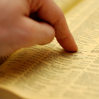 2017'de en çok neyi aradık?