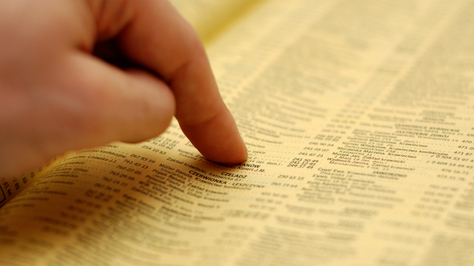 2017'de en çok neyi aradık?