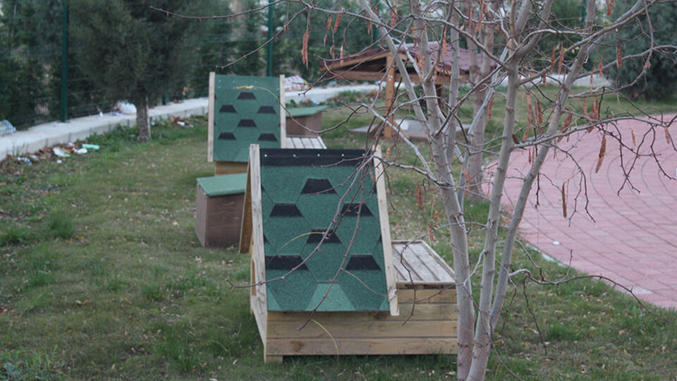 Çanakkale Belediyesi'nden 'kedi köyü'