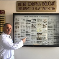 Bu müzede 50 bin tür böcek var!