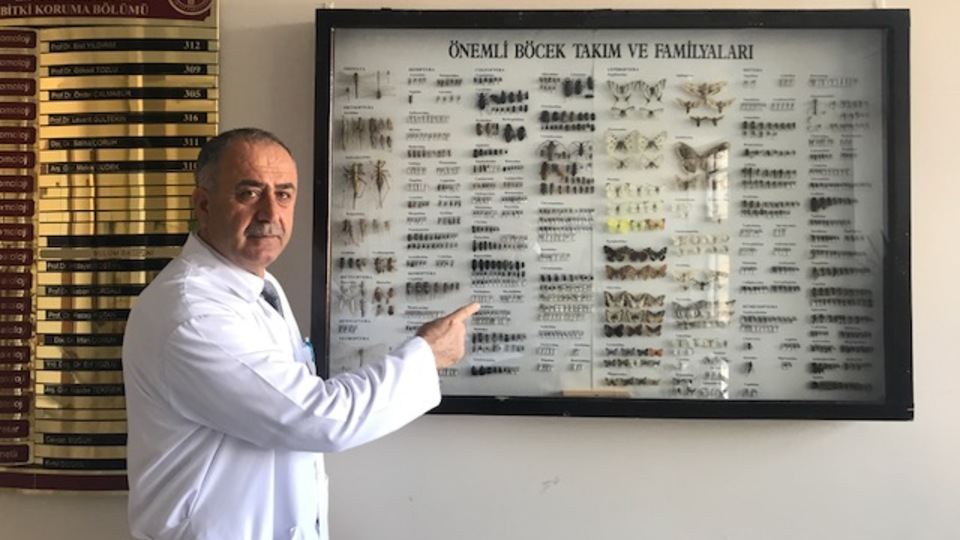Bu müzede 50 bin tür böcek var!