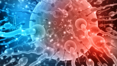 Spermler kanser hücrelerine ilaç taşıyacak!