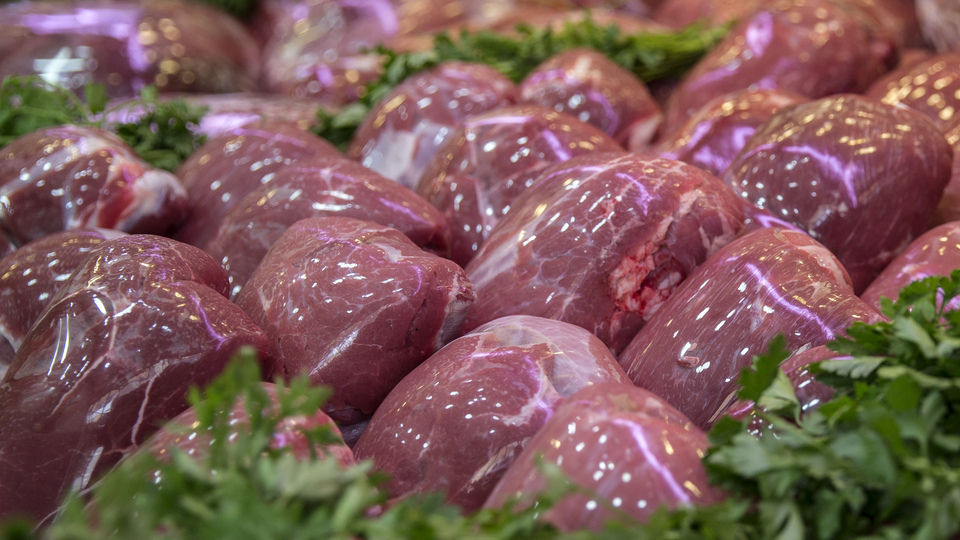 Fiyatı altınla yarışacak