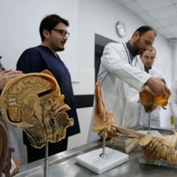 "Kadavra yok yerine yenisini koyamıyoruz"