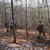 Köyde büyük tedirginlik! Hava karardıktan sonra evlerinden çıkmıyorlar
