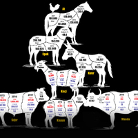 At izi 'et izine' karıştı