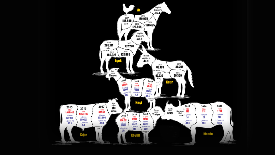 At izi 'et izine' karıştı