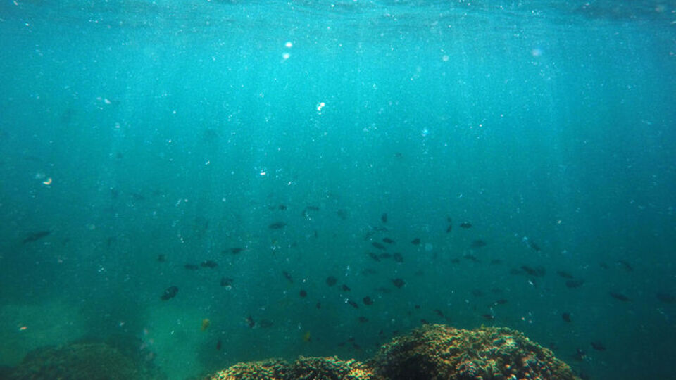 Bilim dünyasını heyecanlandıran keşif! 1 milyar yaşında olduğu tespit edildi