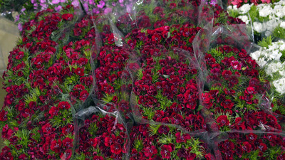 Yılbaşı, çiçek sektörünü hareketlendirdi