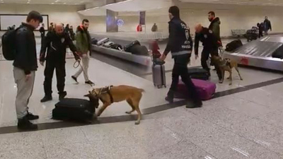 Hollanda'ya Atatürk Havalimanı'nda misilleme!