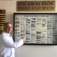 Böceğe babasının ismini verdi: Tiphia Bahattini!