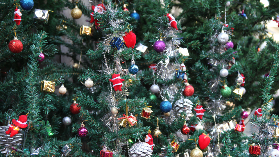 20 milyon dolarlık ekonomi yaratıyorlar