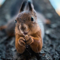 "Anlatsana biraz neden ben?"