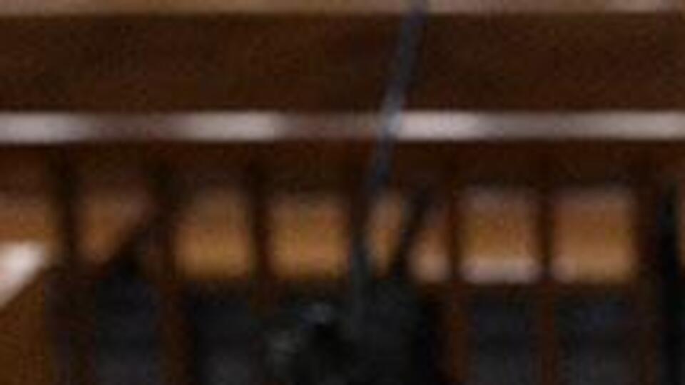 TÜYAP hakkında FETÖ soruşturması
