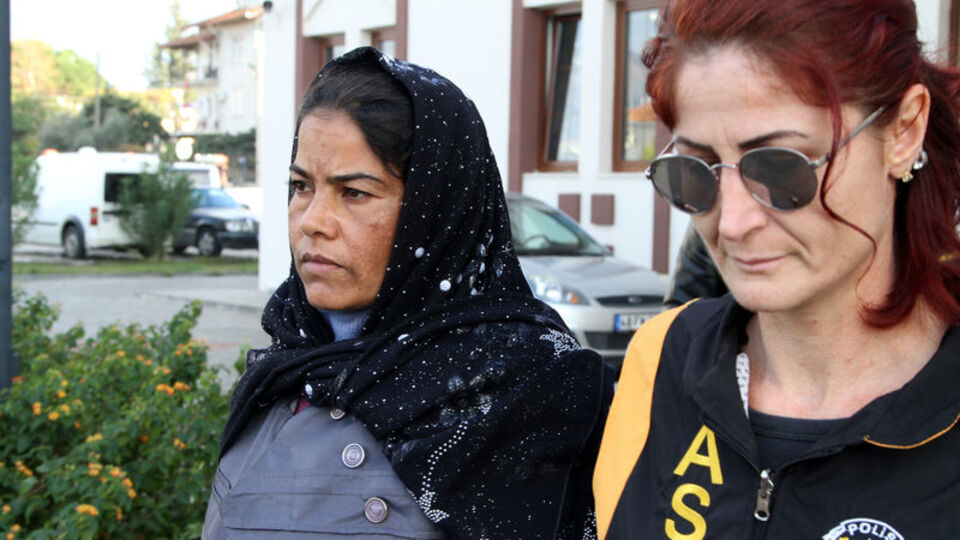 Timsah gözyaşları! Gerçek çok farklı çıktı