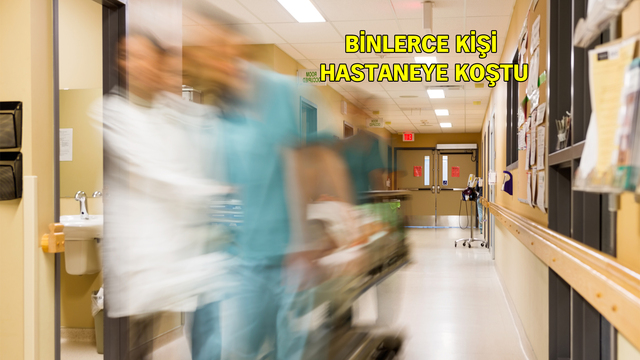 Bursa'yı karıştıran hastalık söylentisi!
